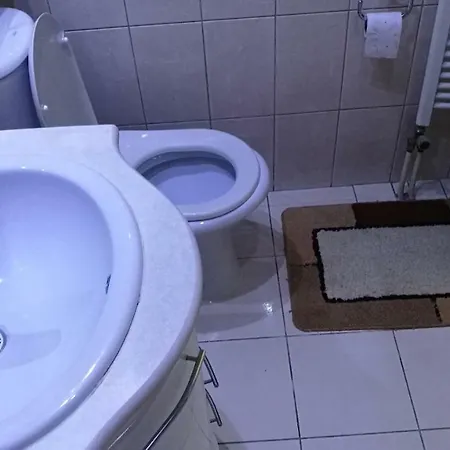 Apartman Hodzic *