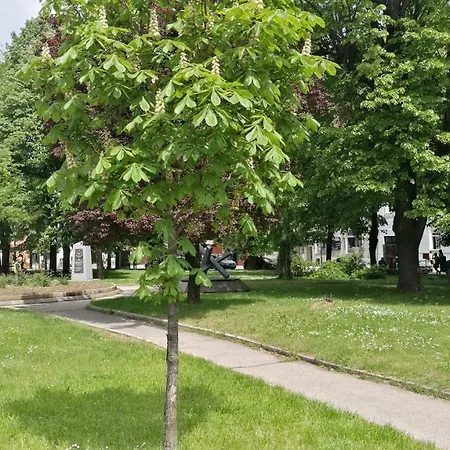 Apartman Hodzic Apartment